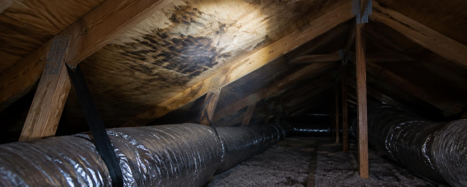 Flashlight illuminating dark moisture staining on the wooden roof decking inside a residential attic